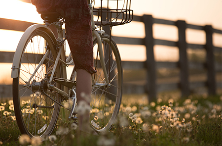 5 rustige fietsroutes in Vlaamse steden