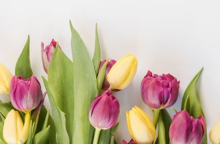 Breng de lente in huis